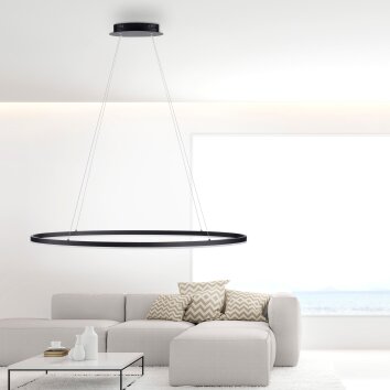 Suspension Paul Neuhaus TITUS LED Anthracite, 1 lumière