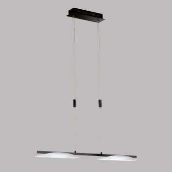 Suspension Fischer & Honsel Kop LED Noir, 2 lumières