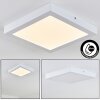 plafonnier extérieur Leto LED Blanc, 1 lumière