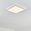 plafonnier extérieur Leto LED Blanc, 1 lumière