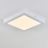 plafonnier extérieur Leto LED Blanc, 1 lumière