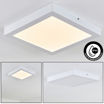 plafonnier extérieur Leto LED Blanc, 1 lumière