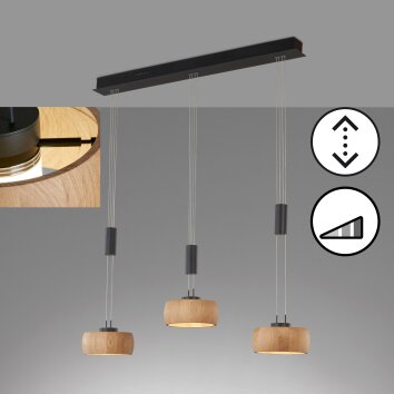 Suspension Fischer & Honsel SHINEWOOD LED Noir, 3 lumières