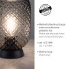 Lampe de table Leuchten Direkt REISHI Noir, 1 lumière