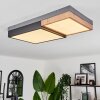 Plafonnier Bornos LED Anthracite, 1 lumière