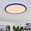 Plafonnier Boyero LED Noir, 2 lumières, Télécommandes, Changeur de couleurs