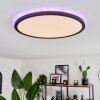 Plafonnier Boyero LED Noir, 2 lumières, Télécommandes, Changeur de couleurs