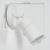 Applique murale d'extérieur Aketohoin LED Blanc, 1 lumière