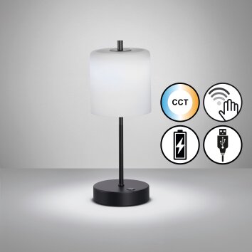 Lampe de table FHL easy Riva LED Noir, 1 lumière