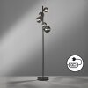 Lampadaire Fischer & Honsel Bala LED Noir, 5 lumières