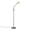 Lampadaire Fischer & Honsel Dent LED Noir, 1 lumière