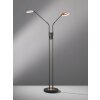 Lampadaire Fischer & Honsel Dent LED Noir, 2 lumières