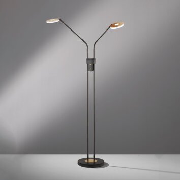 Lampadaire Fischer & Honsel Dent LED Noir, 2 lumières