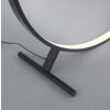 Lampadaire Paul Neuhaus HULA LED Noir, 1 lumière, Télécommandes