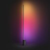 Lampadaire Philips Hue Signe LED Noir, 1 lumière, Changeur de couleurs