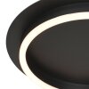 Plafonnier Steinhauer Ringlux LED, 1 lumière