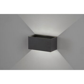 Applique murale Fischer & Honsel Wallo LED Noir, 4 lumières