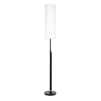 Lampadaire Coquimbito LED Noir, 2 lumières