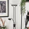 Lampadaire Biot LED Noir, 2 lumières