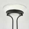 Lampadaire Biot LED Noir, 2 lumières