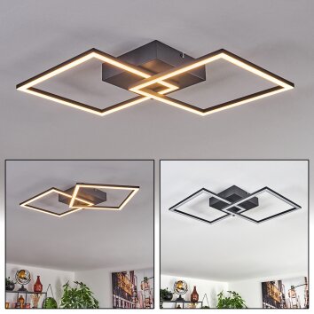 Plafonnier Obo LED Noir, 1 lumière