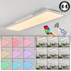 Plafonnier Voisines LED Blanc, 1 lumière, Télécommandes