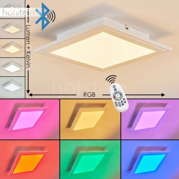 Plafonnier Voisines LED Blanc, 1 lumière, Télécommandes, Changeur de couleurs