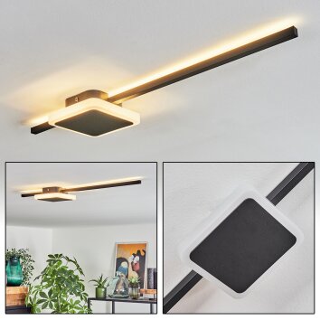 Plafonnier Amdal LED Noir, Blanc, 2 lumières