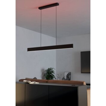 Suspension Eglo ANDREAS-Z LED Noir, 2 lumières, Changeur de couleurs