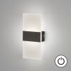 Applique murale Fischer & Honsel Foder LED Noir, 1 lumière