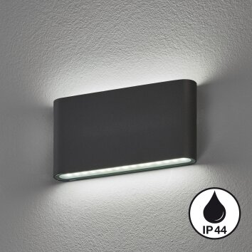 Applique murale Fischer & Honsel Scone LED Noir, 2 lumières