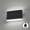 Applique murale Fischer & Honsel Scounce LED Noir, 2 lumières