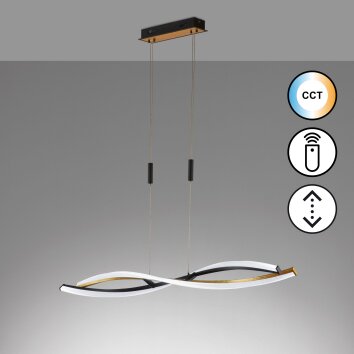 Suspension Fischer & Honsel Torcido LED Noir, 1 lumière, Télécommandes