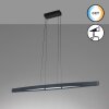 Suspension Fischer & Honsel Fenga LED Noir, 1 lumière