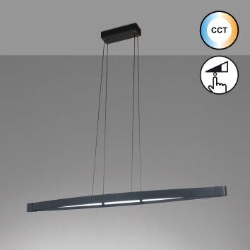 Suspension Fischer & Honsel Fenga LED Noir, 1 lumière