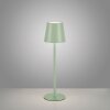 Lampe à poser Leuchten-Direkt EURIA LED Vert, 1 lumière