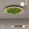 Plafonnier Leuchten-Direkt GREEN RITUS LED Noir, 1 lumière