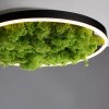 Plafonnier Leuchten-Direkt GREEN RITUS LED Noir, 1 lumière