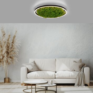 Plafonnier Leuchten-Direkt GREEN RITUS LED Noir, 1 lumière