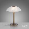 Lampe de table Paul Neuhaus ENOVA LED Vieux laiton, 1 lumière