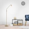 Lampadaire Paul Neuhaus PINO LED Laiton, 1 lumière