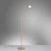 Lampadaire Paul Neuhaus PINO LED Laiton, 1 lumière