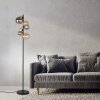 Lampadaire Paul Neuhaus POPSICLE LED Noir, 7 lumières