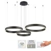 Suspension Paul Neuhaus SCULLI LED Noir, 2 lumières