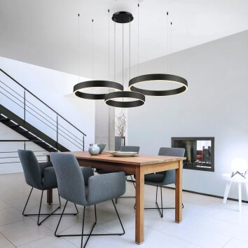 Suspension Paul Neuhaus SCULLI LED Noir, 2 lumières