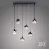 Suspension Leuchten-Direkt ZEA Noir, 6 lumières