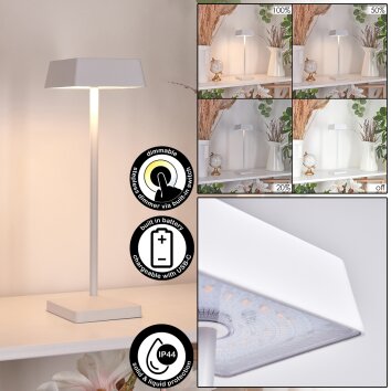 Lampe de table Algeraz LED Blanc, 1 lumière