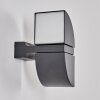 Applique murale d'extérieur Kontenga LED Anthracite, 2 lumières