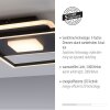 Plafonnier Leuchten-Direkt DOMINO LED Noir, 1 lumière