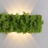 Applique murale Leuchten-Direkt GREEN CARLO LED Argenté, 6 lumières